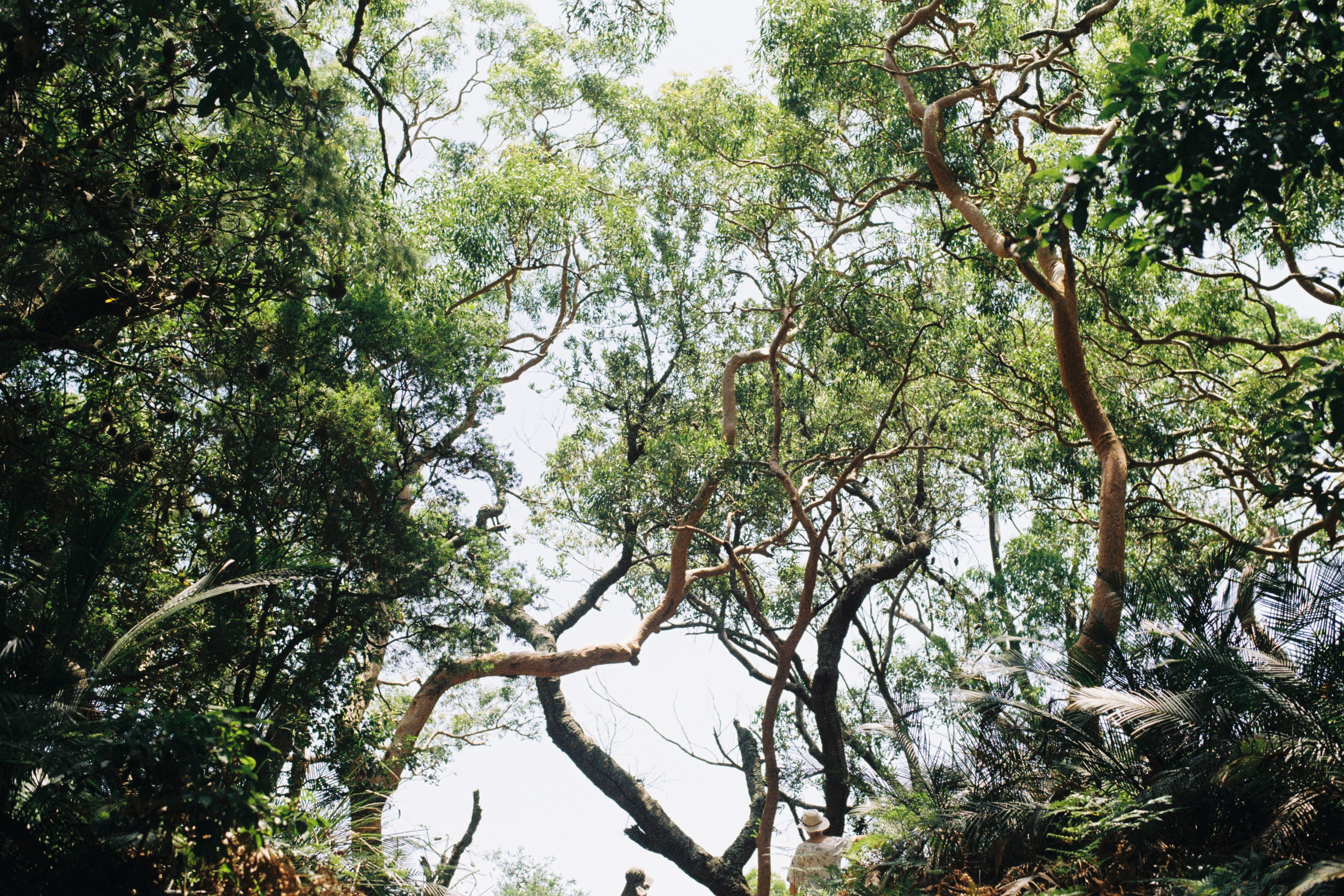 Image 4