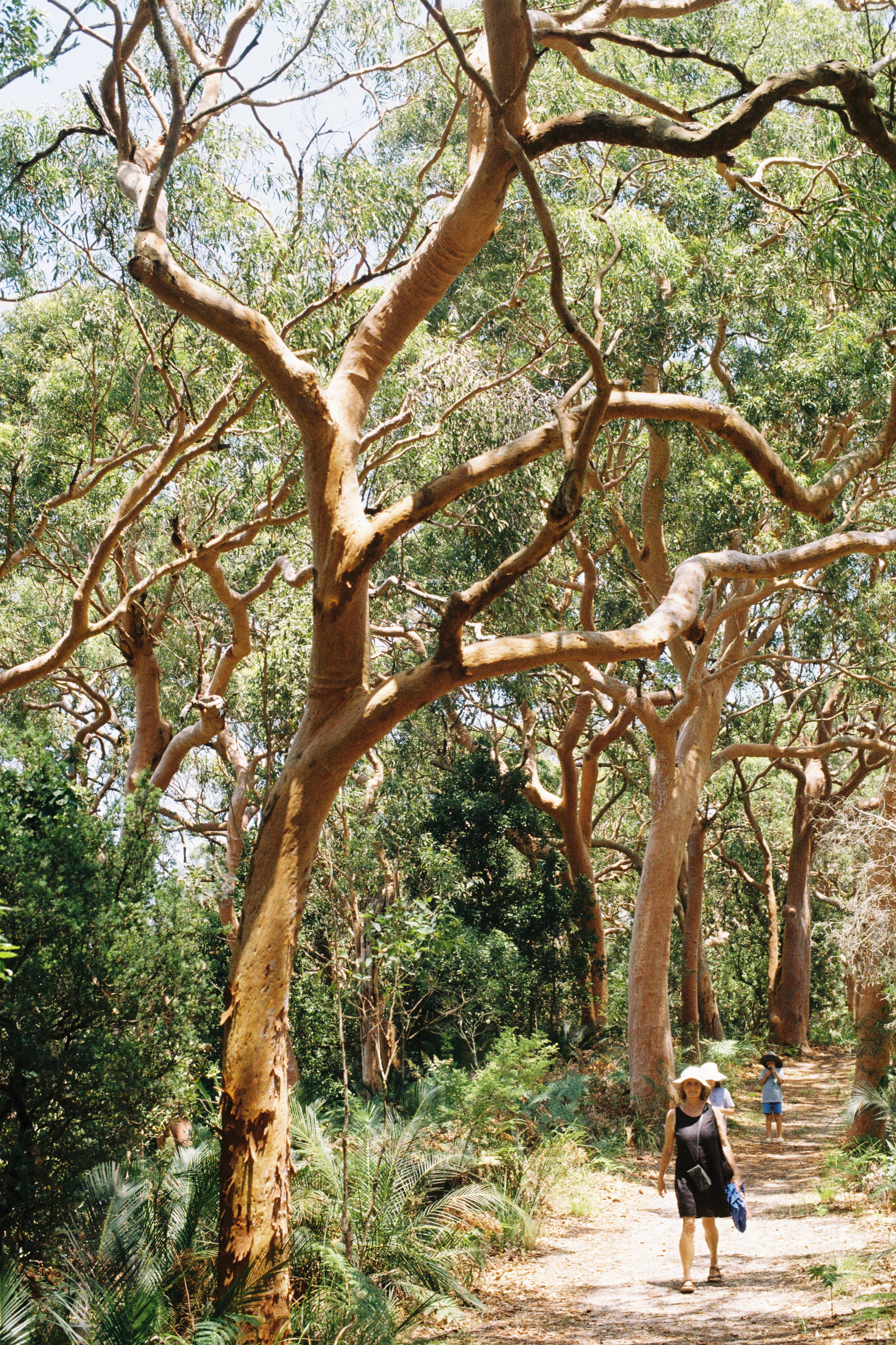 Image 2